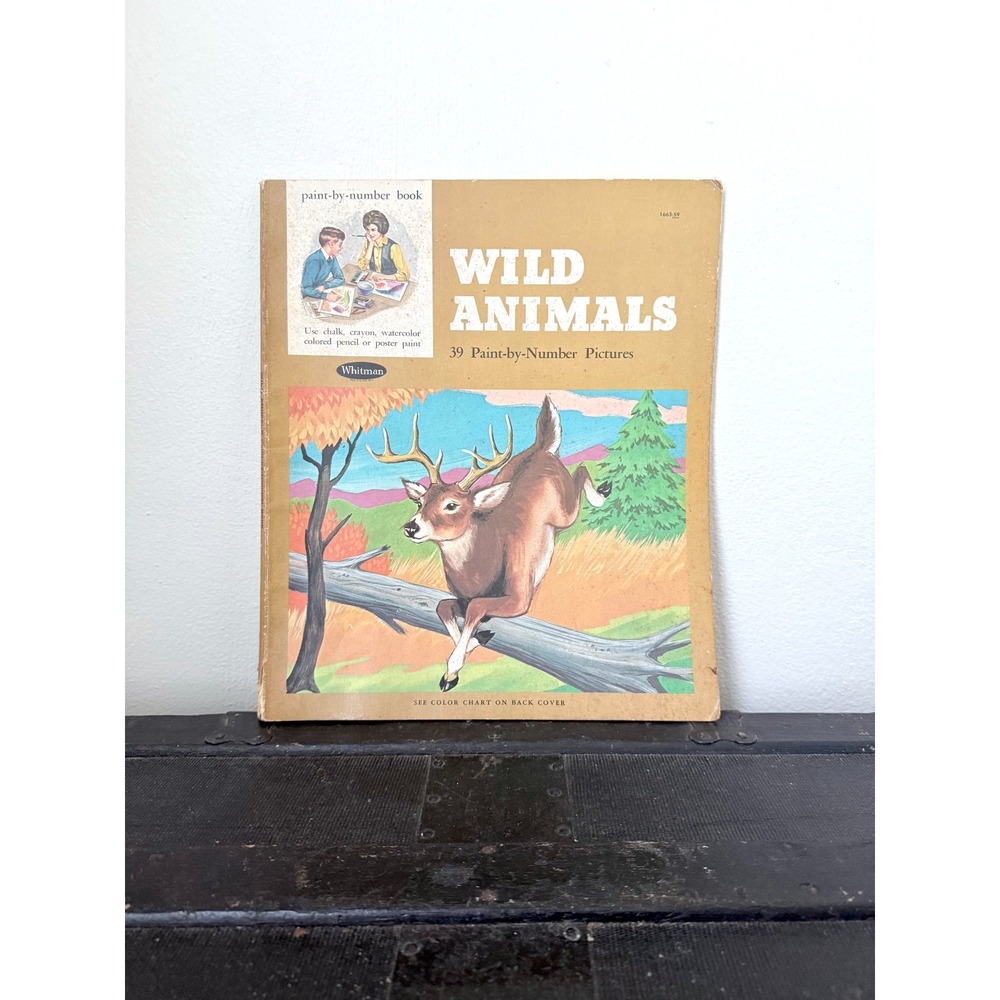 Vintage 1967 Whitman Paint by Number Book Retro Art Craft Hobby Used Great Shape